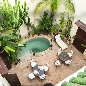 Les Ammonites And **** Marrakesh